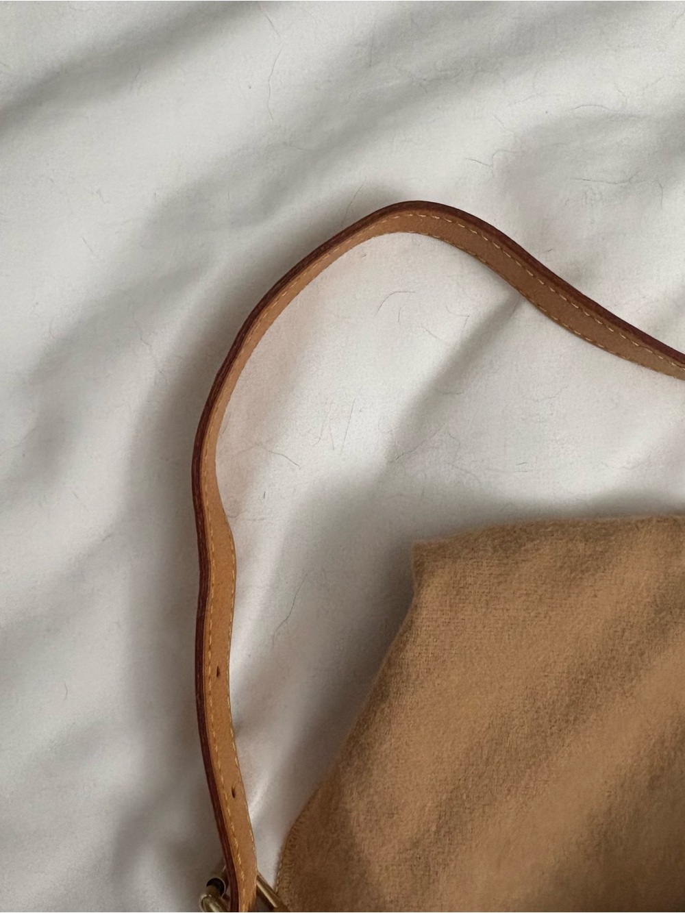 Authentic Louis Vuitton Croissant Bag PM - Picture 4 of 9